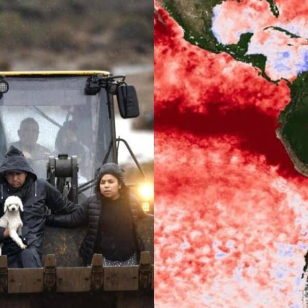 El Niño en Chile podría favorecer precipitaciones sobre lo normal y nuevos eventos extremos
