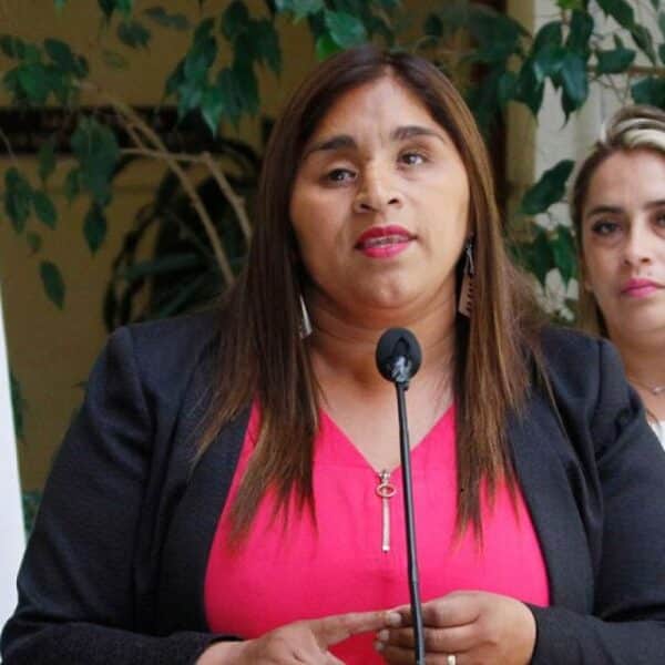 Fabiola Campillai aborda antecedentes judiciales de su yerno contratado como chofer en el Senado