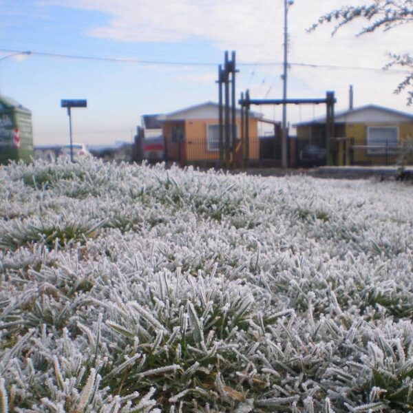 Heladas en la zona central afectarán a cuatro regiones con temperaturas de hasta -4°C
