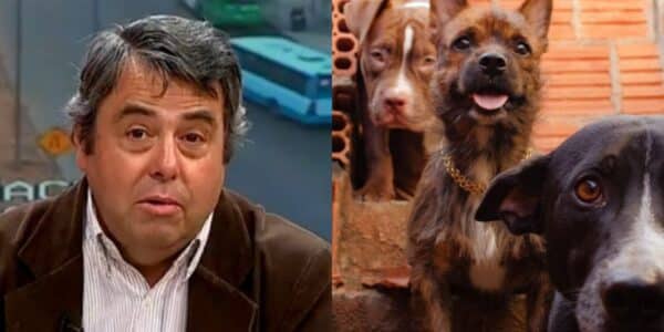 Inspector Vallejo aborda el hallazgo de cuerpos de perros sustraídos en Lampa