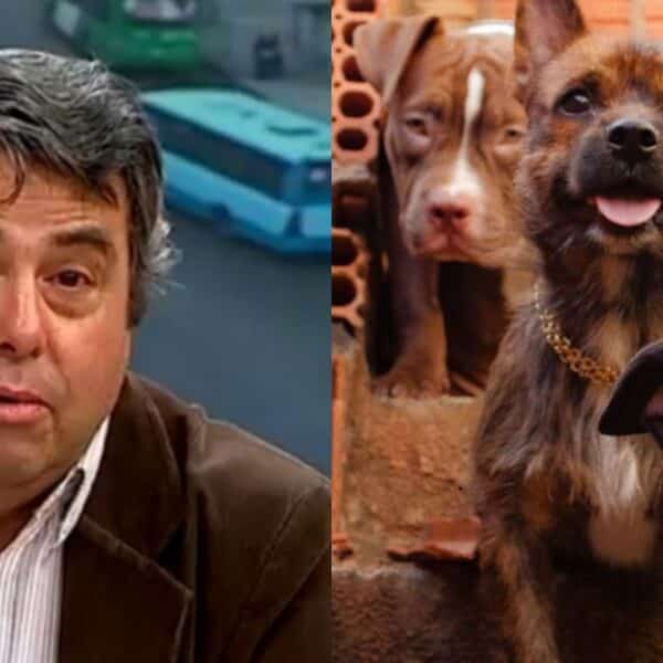 Inspector Vallejo aborda el hallazgo de cuerpos de perros sustraídos en Lampa