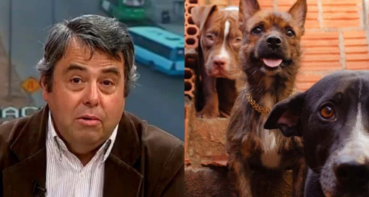 Inspector Vallejo aborda el hallazgo de cuerpos de perros sustraídos en Lampa