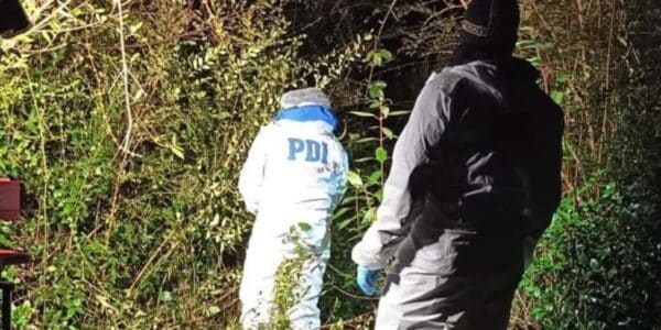 PDI investiga a joven hallada muerta en Calbuco con lesiones atribuibles a terceras personas