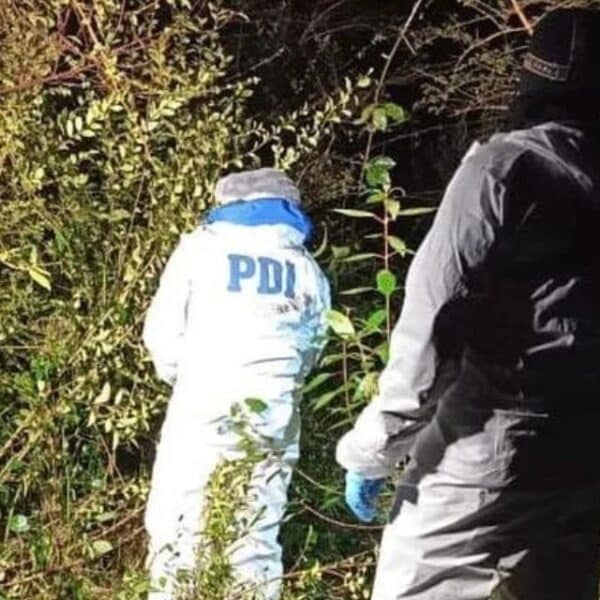 PDI investiga a joven hallada muerta en Calbuco con lesiones atribuibles a terceras personas