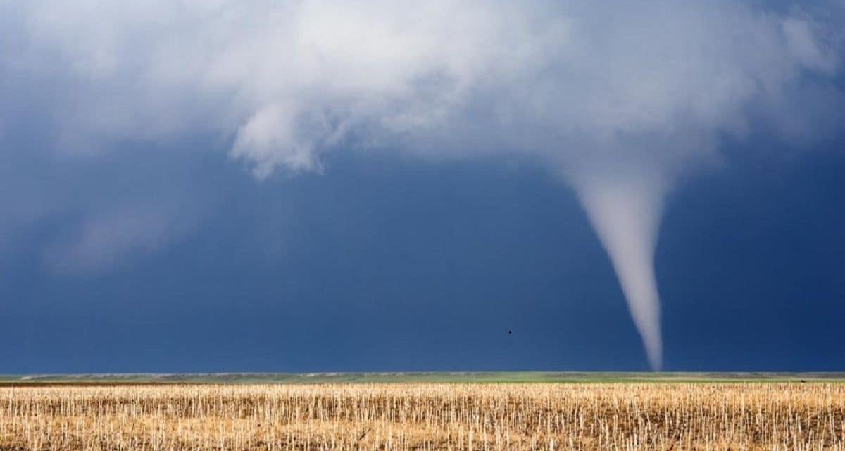 Pulsos violentos de lluvia amenazan a Atacama, Coquimbo y Valparaíso con tormentas y posibles tornados