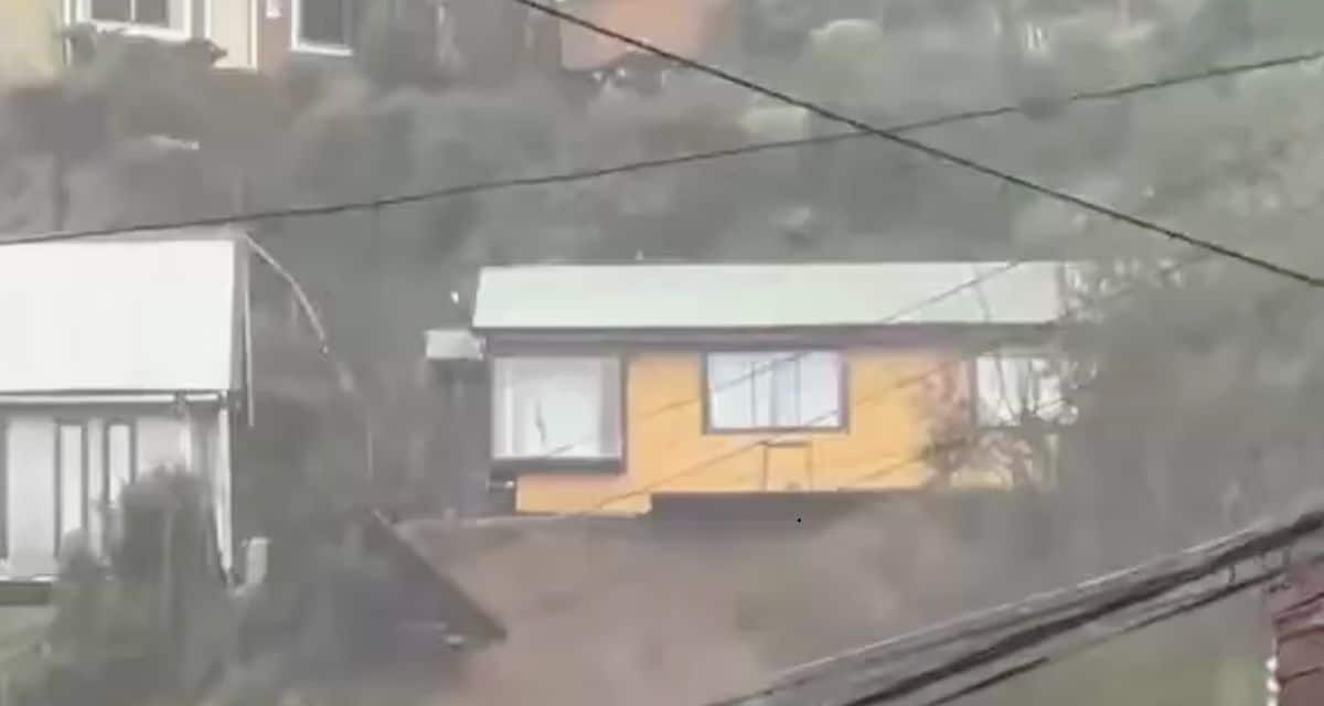 Temporal en Corral provoca remociones en masa y deja viviendas al borde del colapso en el sector El Boldo