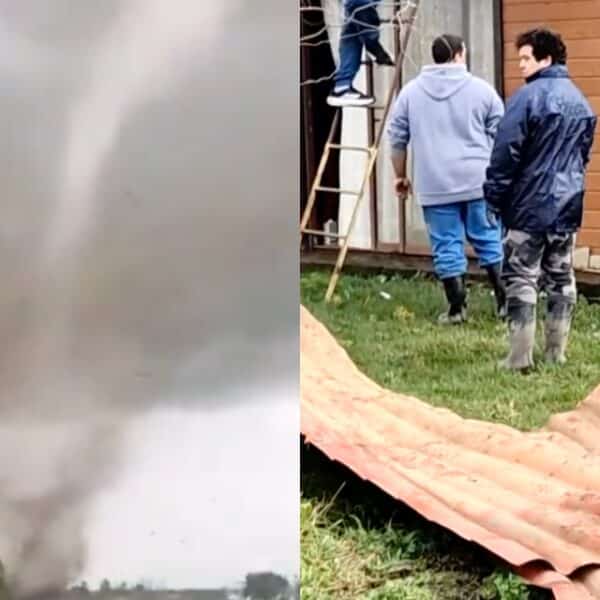 Tornado en Chillán Viejo deja una casa sin techo, árboles caídos y animales muertos en Llollinco