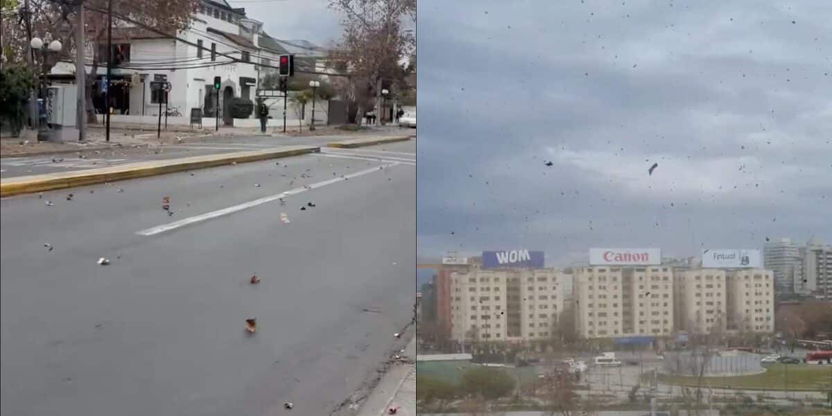 Viento en Santiago provoca árboles caídos y cortes de luz antes del gran temporal