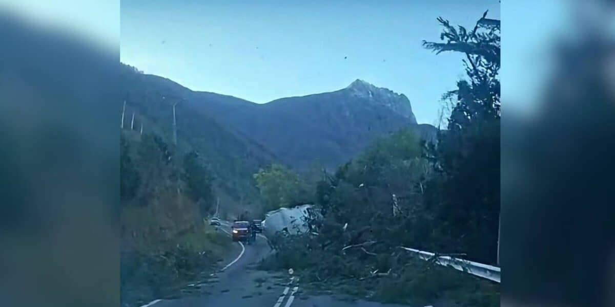 Viento puelche genera riesgo de incendios forestales en Ñuble, Biobío y La Araucanía