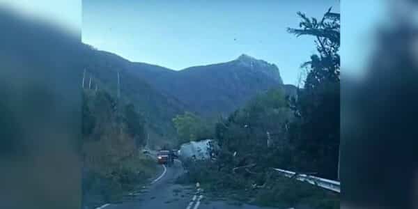 Viento puelche genera riesgo de incendios forestales en Ñuble, Biobío y La Araucanía