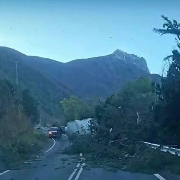 Viento puelche genera riesgo de incendios forestales en Ñuble, Biobío y La Araucanía