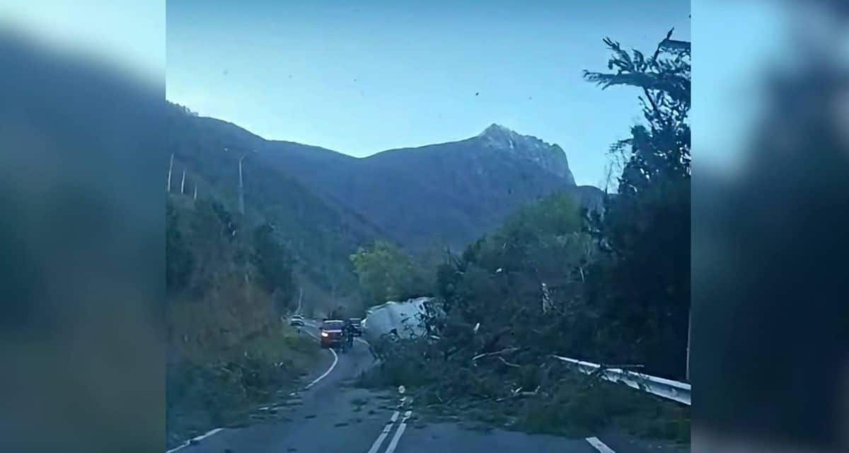Viento puelche genera riesgo de incendios forestales en Ñuble, Biobío y La Araucanía