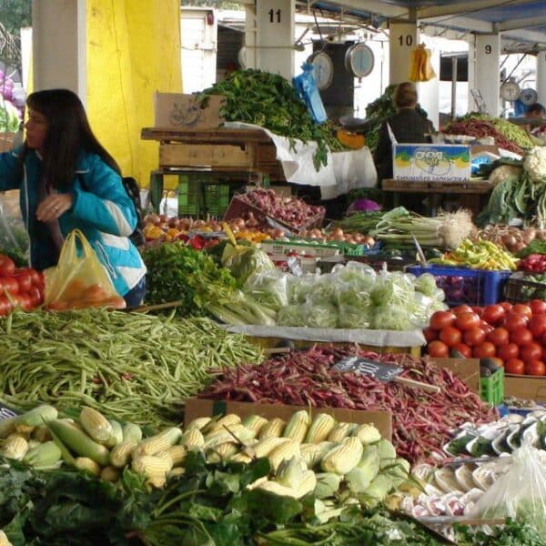 Alza de verduras en Chile eleva el precio del zapallo, las papas, las zanahorias y las cebollas