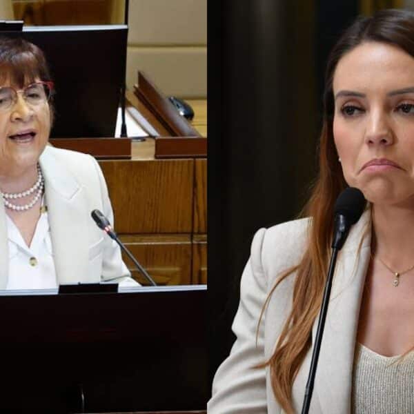 Carmen Hertz publica un duro descargo tras el cruce entre Fabiola Campillai y Camila Flores en el Senado