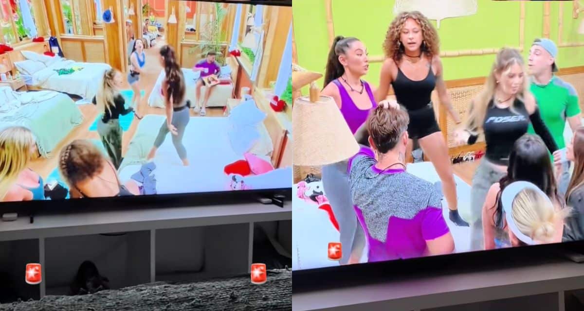 Escena filtrada de Volverías con tu ex 2 muestra enfrentamiento entre Bárbara Muriel y Flavia Laos