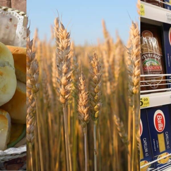 Alza del trigo a nivel mundial y su efecto en los precios de alimentos en Chile