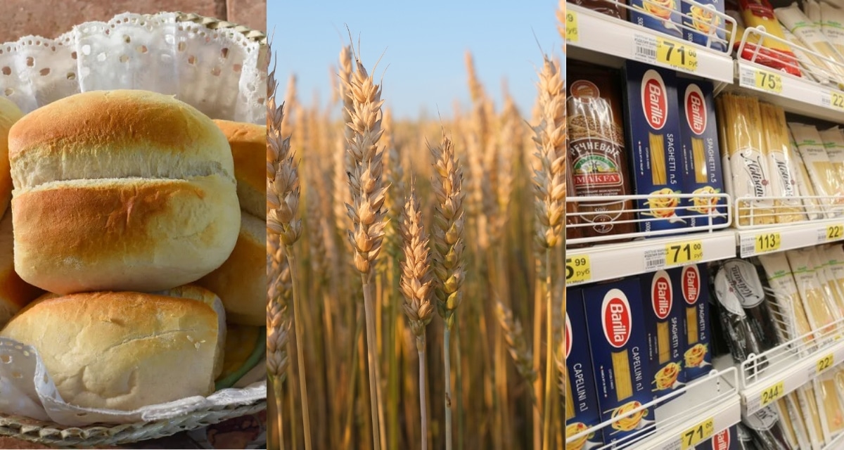 Alza del trigo a nivel mundial y su efecto en los precios de alimentos en Chile