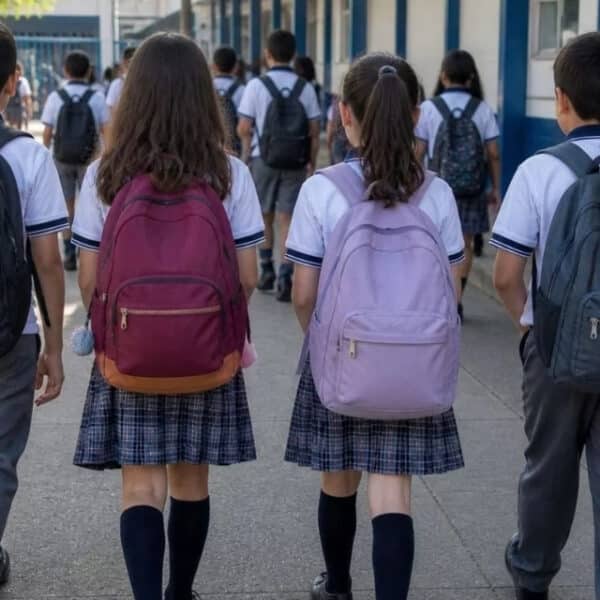 Bono Logro Escolar 2026, beneficio del Estado para estudiantes con buen rendimiento académico que se puede consultar con RUT