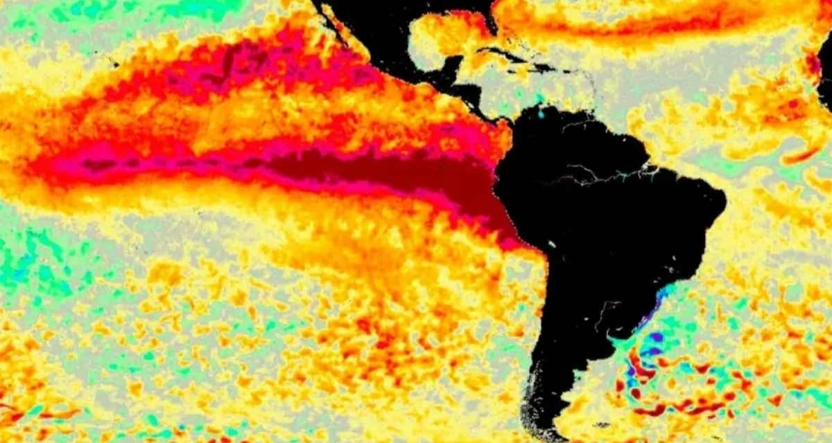 El fenómeno El Niño alcanzaría la categoría de muy intenso durante la primavera y el verano en Chile, según Meteochile