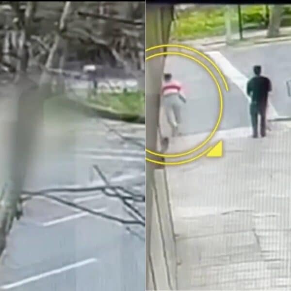 Registro de la muerte de Paz Ramírez en Providencia tras fatal atropello en Andrés Bello
