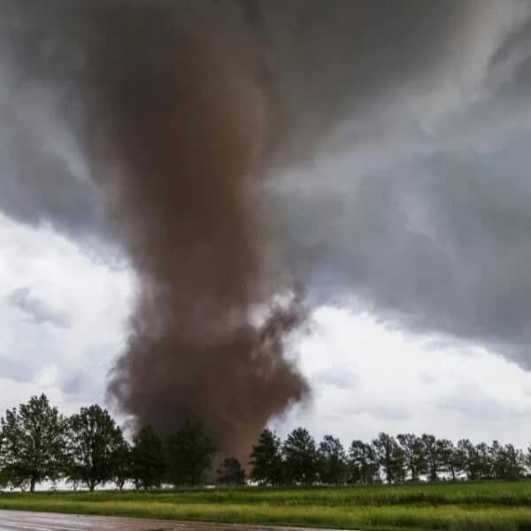 Tornado y trombas marinas afectaron a la Región de Ñuble, fenómenos ante los cuales Senapred entregó recomendaciones de seguridad