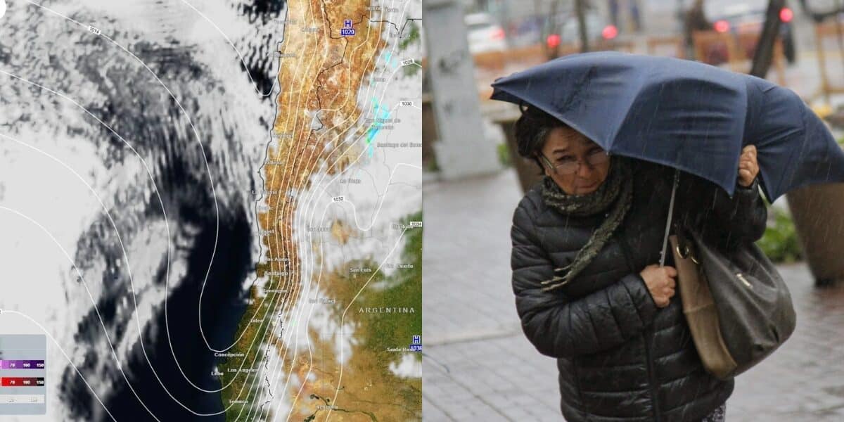 Alerta meteorológica de la Dirección Meteorológica de Chile por viento de hasta 100 km/h en Biobío, La Araucanía y Los Ríos durante el fin de semana.