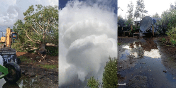Un tornado en Longaví dejó árboles y postes caídos, voladuras de techumbres y daños en viviendas de la región del Maule.