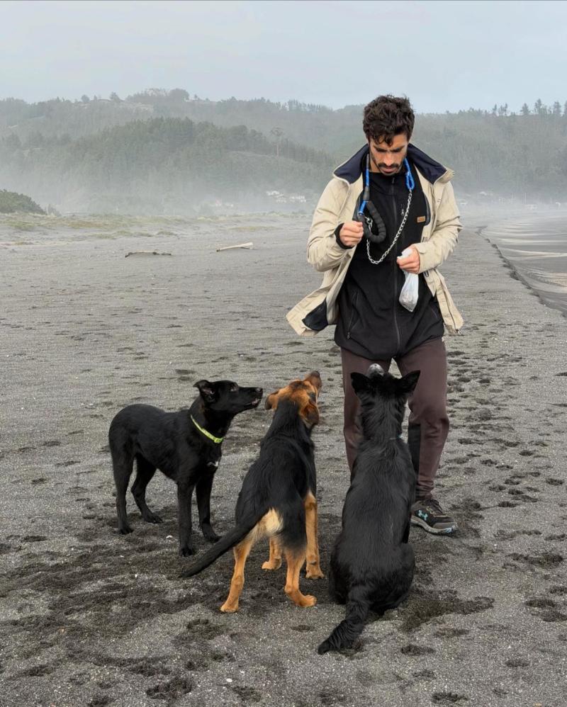 Diego Valdivieso camina por una playa de la región de Ñuble junto a Bollén, Negro y Khan, los tres cachorros que rescató en junio y cuya historia lo transformó en un fenómeno viral.