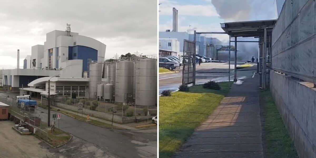 Vista general de la planta industrial de Lácteos Colún en La Unión, Región de Los Ríos. Una explosión en el área de calderas dejó dos trabajadores con reposo preventivo este lunes 21 de septiembre de 2026.