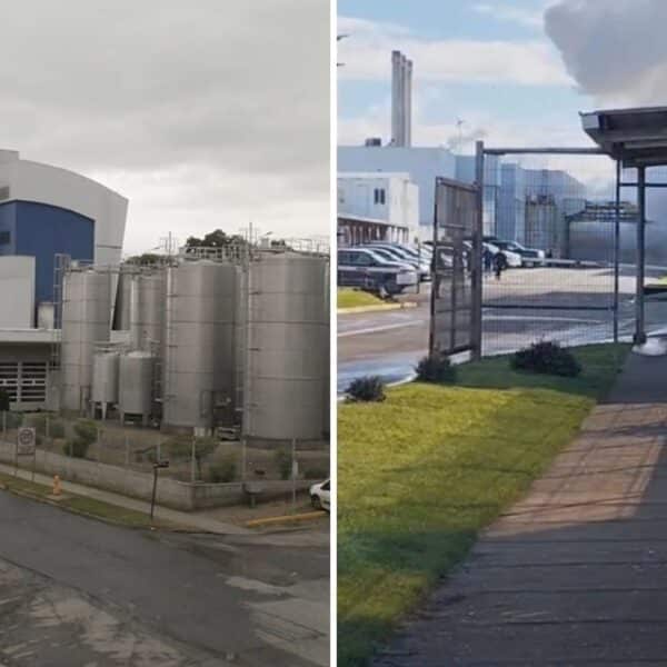 Vista general de la planta industrial de Lácteos Colún en La Unión, Región de Los Ríos. Una explosión en el área de calderas dejó dos trabajadores con reposo preventivo este lunes 21 de septiembre de 2026.