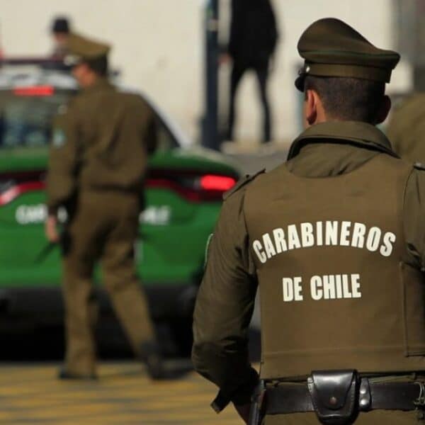 La PDI desarticuló en La Unión una organización criminal dedicada al robo de madera y al faenamiento clandestino, con dos carabineros activos y uno en retiro entre los detenidos.