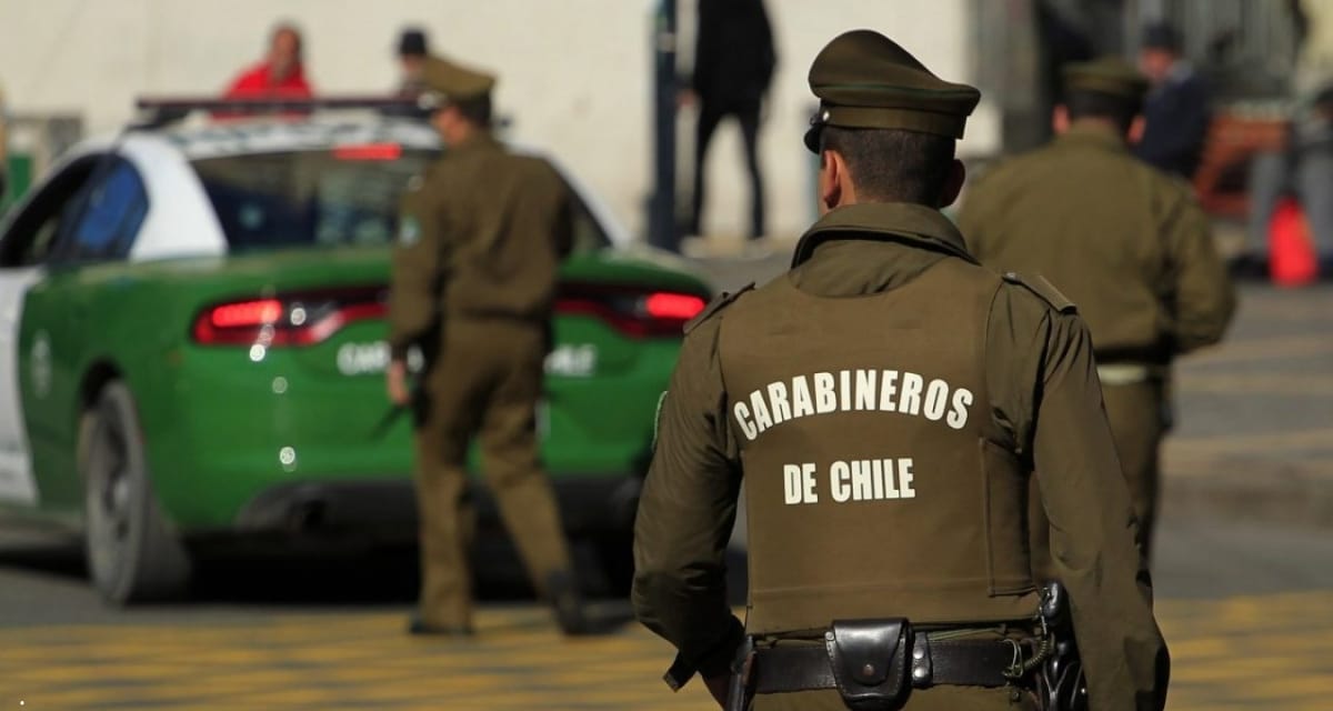 La PDI desarticuló en La Unión una organización criminal dedicada al robo de madera y al faenamiento clandestino, con dos carabineros activos y uno en retiro entre los detenidos.