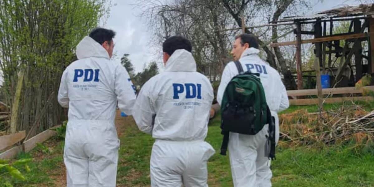 Vista de la comuna de Pitrufquén en la Región de La Araucanía, escenario de tres tragedias con adultos mayores en solo diez días