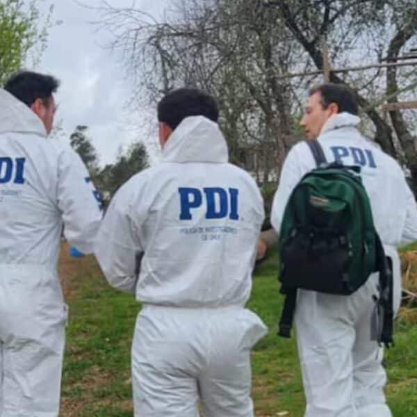 Vista de la comuna de Pitrufquén en la Región de La Araucanía, escenario de tres tragedias con adultos mayores en solo diez días