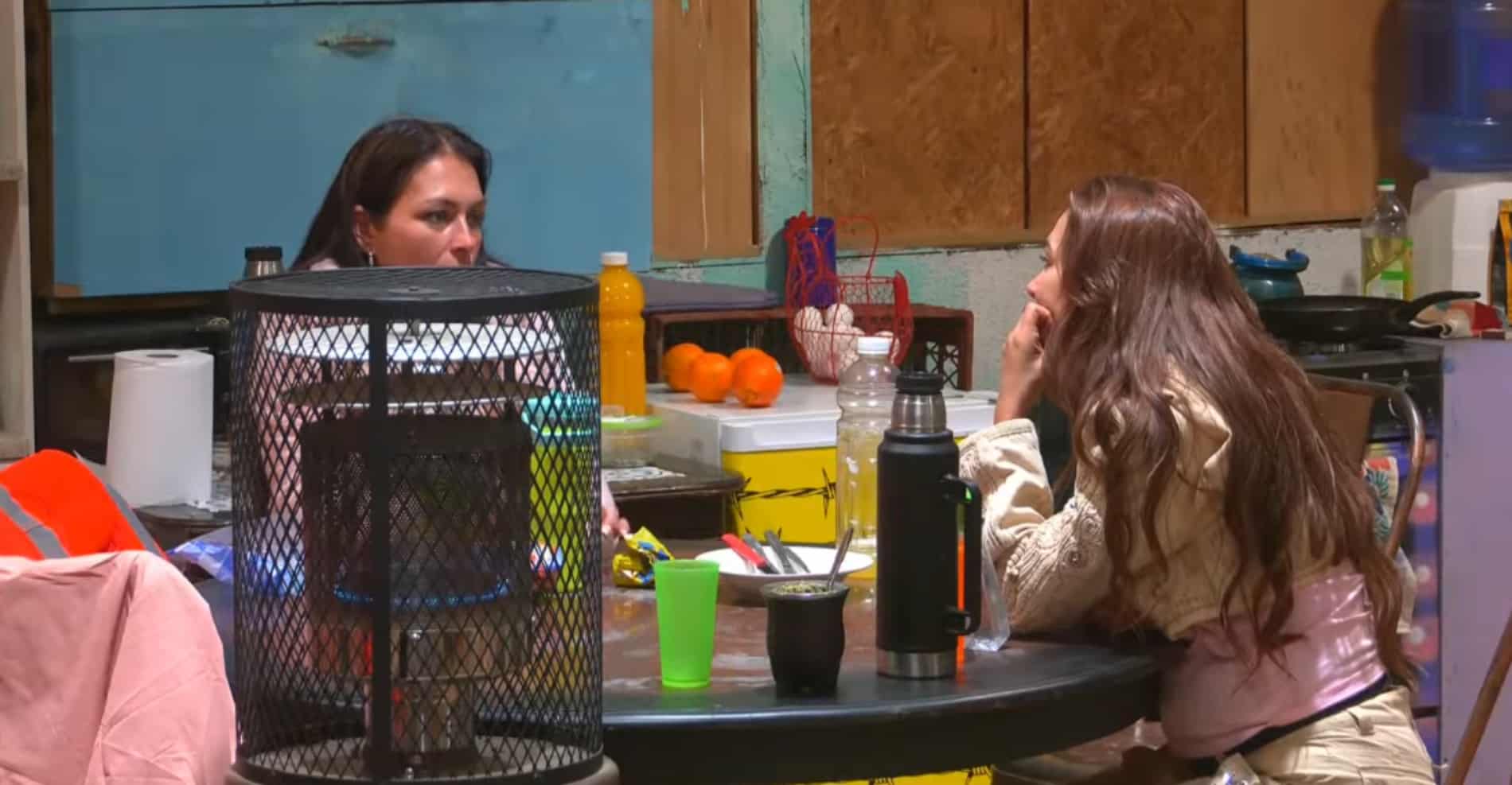 Dos mujeres sentadas en una mesa de cocina con estufa cilíndrica, termo, mate, vasos y frutas; una mira hacia la otra, que apoya la mano en su rostro.