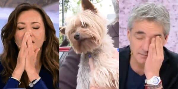 Vecina sostiene a un pequeño perro rescatado durante el aluvión en Las Condes, en una transmisión del matinal Tu Día.