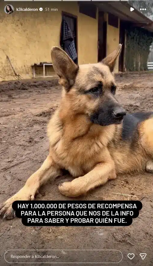 La recompenza de Kel Calderón