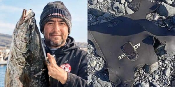 La búsqueda del buzo Carlos Aquea en Chañaral de Aceituno abrió la hipótesis de un ataque de tiburón, que una experta en biología marina puso en duda tras revisar las imágenes de su equipamiento.
