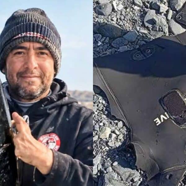La búsqueda del buzo Carlos Aquea en Chañaral de Aceituno abrió la hipótesis de un ataque de tiburón, que una experta en biología marina puso en duda tras revisar las imágenes de su equipamiento.