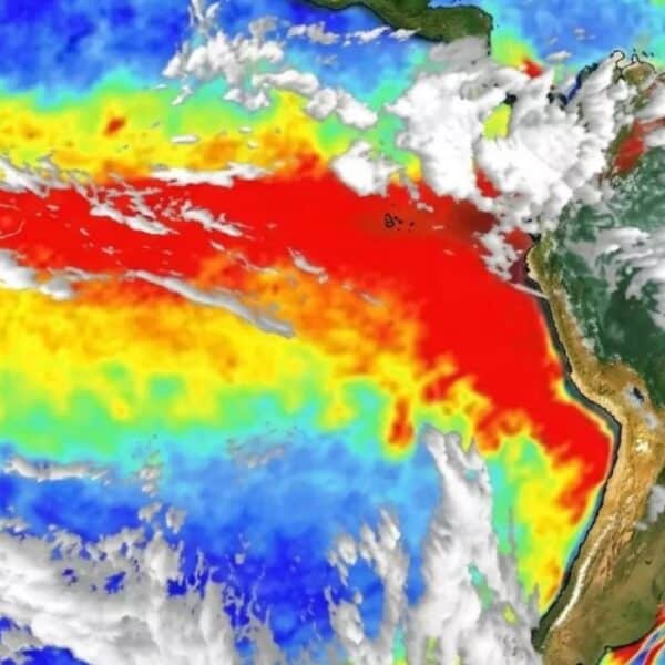 El Niño 2026 y las anomalías de temperatura del océano Pacífico tropical analizadas por la Organización Meteorológica Mundial.