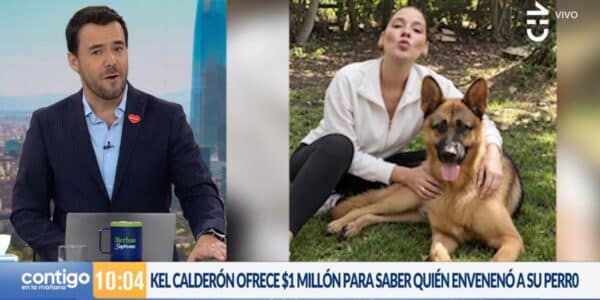 Kel Calderón junto a su perro Zeus tras denunciar en televisión el envenenamiento de su mascota en Pelarco