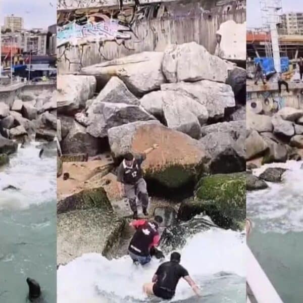 Vista del muelle de Caleta Portales en Valparaíso, sector donde una mujer fue rescatada del mar antes de fallecer.