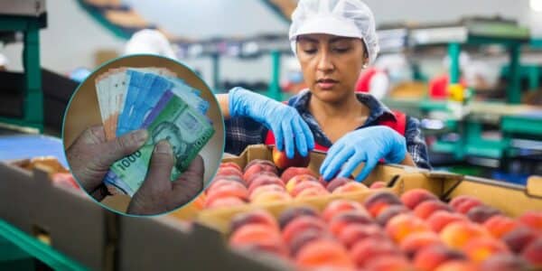 El Subsidio Unificado al Empleo comenzó a regir este 1 de octubre: entrega hasta $185 mil mensuales y se postula online durante todo el año a través de la Ventanilla Única Social.