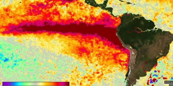 Mapa satelital de anomalías de temperatura superficial del océano Pacífico frente a Perú y el norte de Chile durante octubre de 2026.