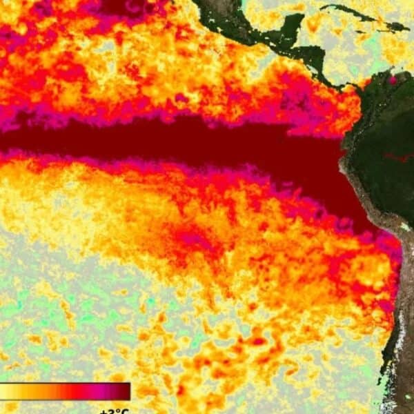 Mapa satelital de anomalías de temperatura superficial del océano Pacífico frente a Perú y el norte de Chile durante octubre de 2026.