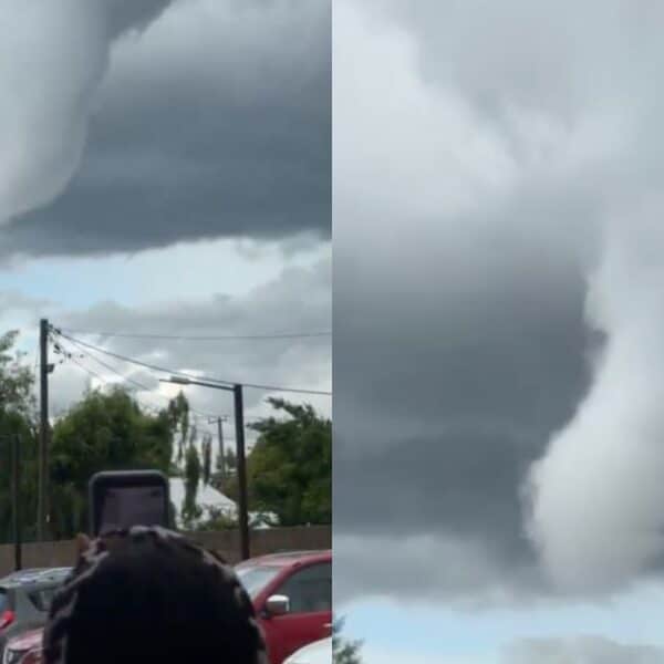 Nube embudo y árboles caídos tras el paso de un tornado en el Maule durante la tarde de este miércoles